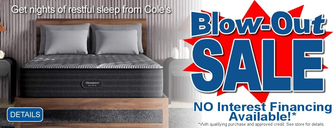 Blow Out Mattress Sale